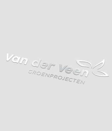 Spot veredeling - uv-lak | Goos Reclamemakers B.V.
